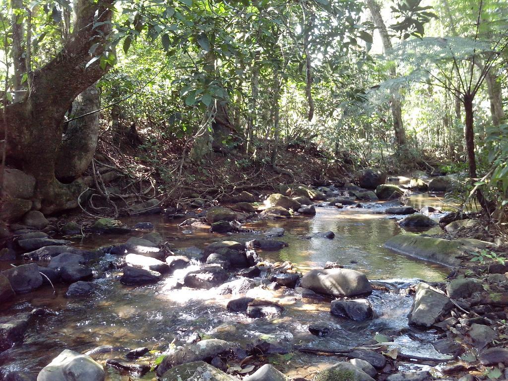 Pousada Arboretum Penedo (Rio de Janeiro) Exterior foto